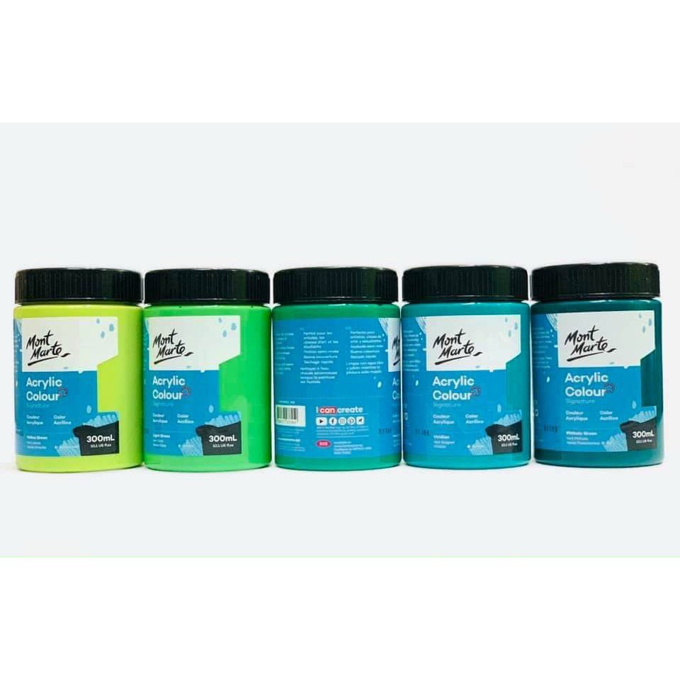 Màu vẽ Acylic Mont Marte 300ml vẽ vải vẽ tường gốm sứ giấy P2