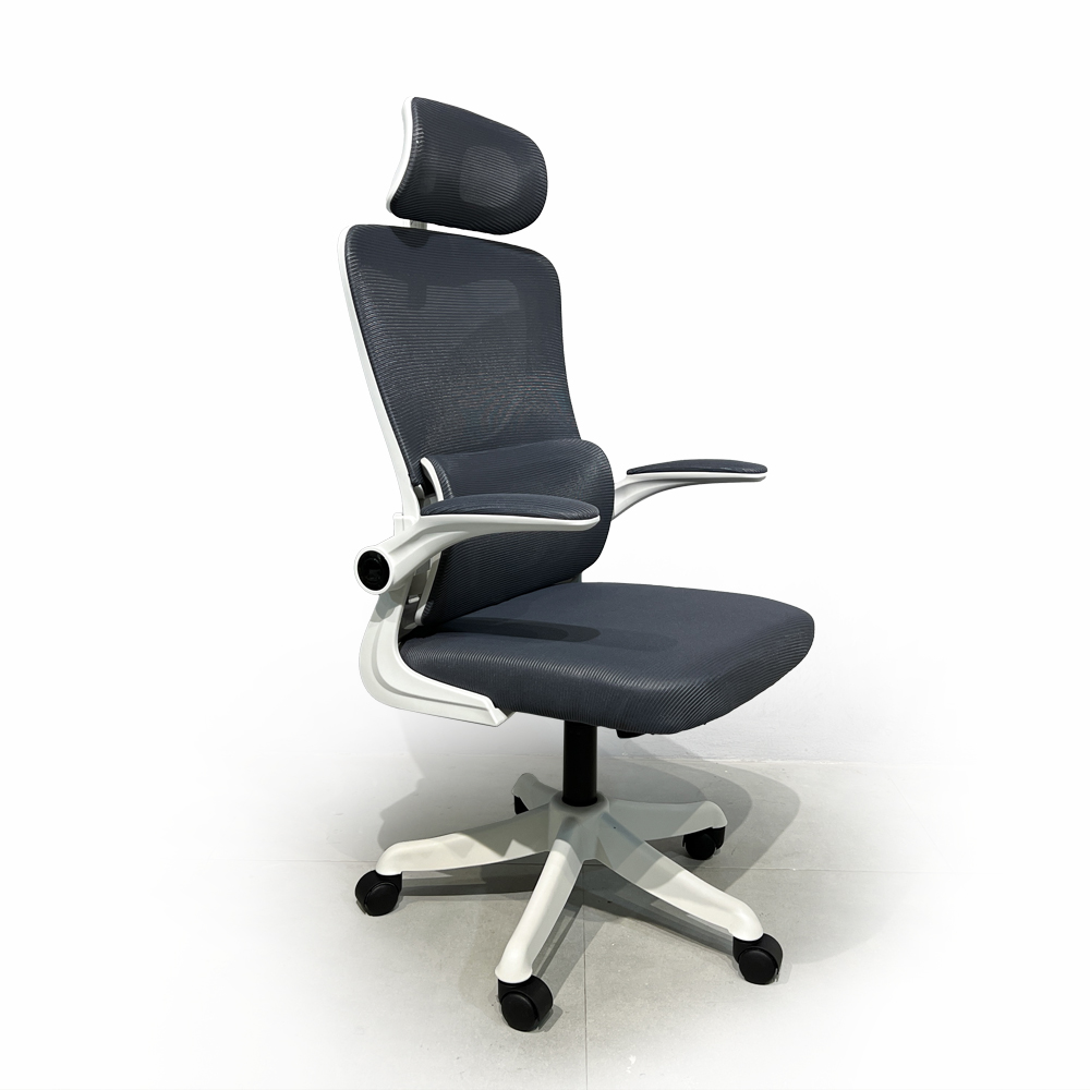 Ghế Xoay Công Thái Học Cao Cấp Fergus FGCT046
