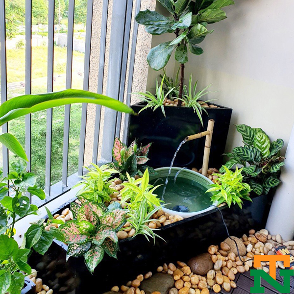 Tiểu cảnh hoàn thiện