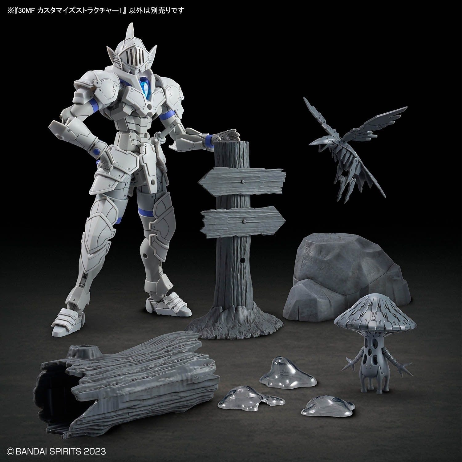 30MF CUSTOMIZE STRUCTURE1