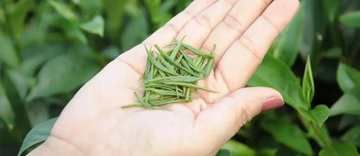 CÔNG TY TNHH BẮC KINH ĐÔ