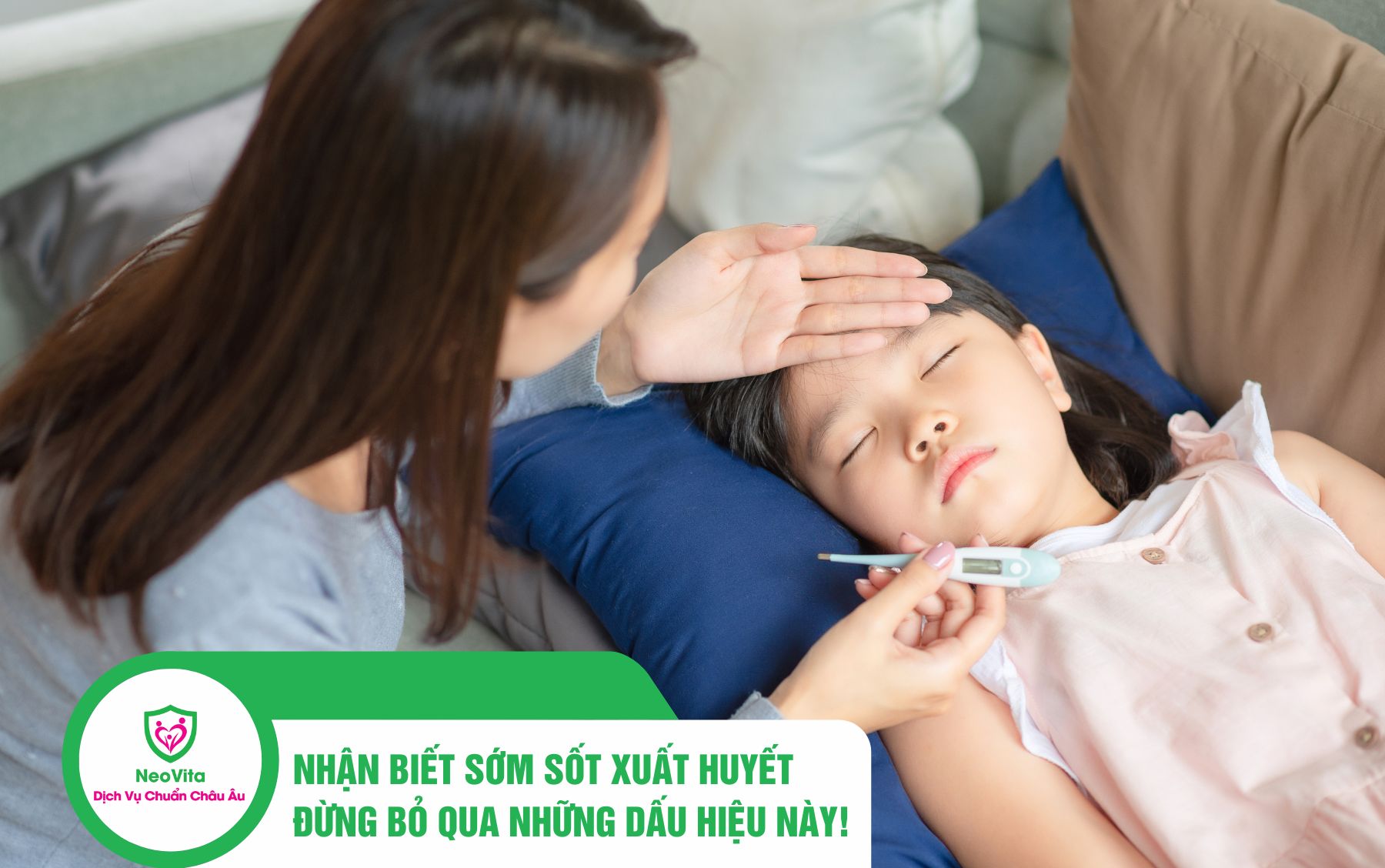 Cách nhận biết sớm dấu hiệu bị muỗi sốt xuất huyết đốt và xử trí đúng cách