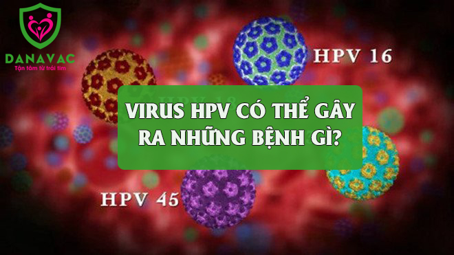 Virus HPV có thể gây ra những bệnh gì?