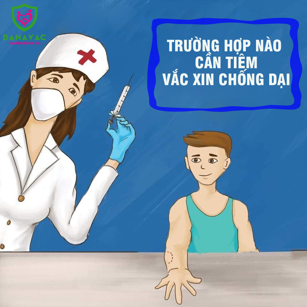 Trường hợp nào cần tiêm vắc xin chống dại