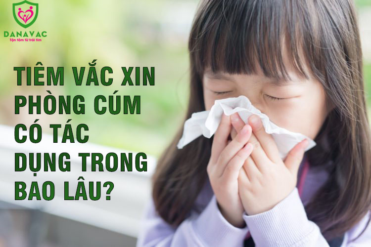 Tiêm vắc xin phòng cúm có tác dụng trong bao lâu?
