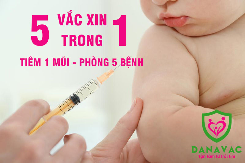 Vacxin 5 trong 1: Tiêm 1 mũi - Phòng 5 bệnh