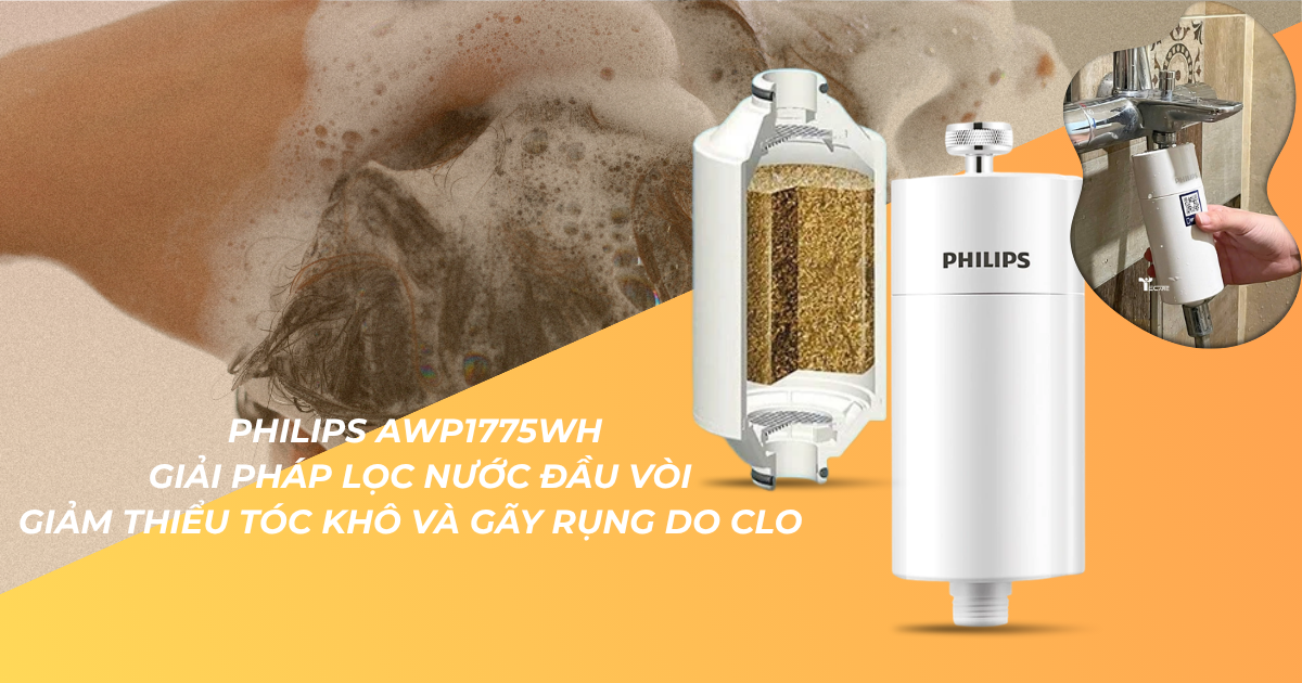 Tóc khô xơ, dễ gãy rụng – Đừng chỉ nghĩ đến dầu gội