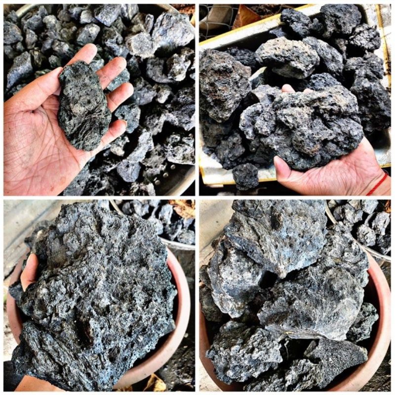 Đá Đen Gia Lai- Cá Cảnh Thiên Phước