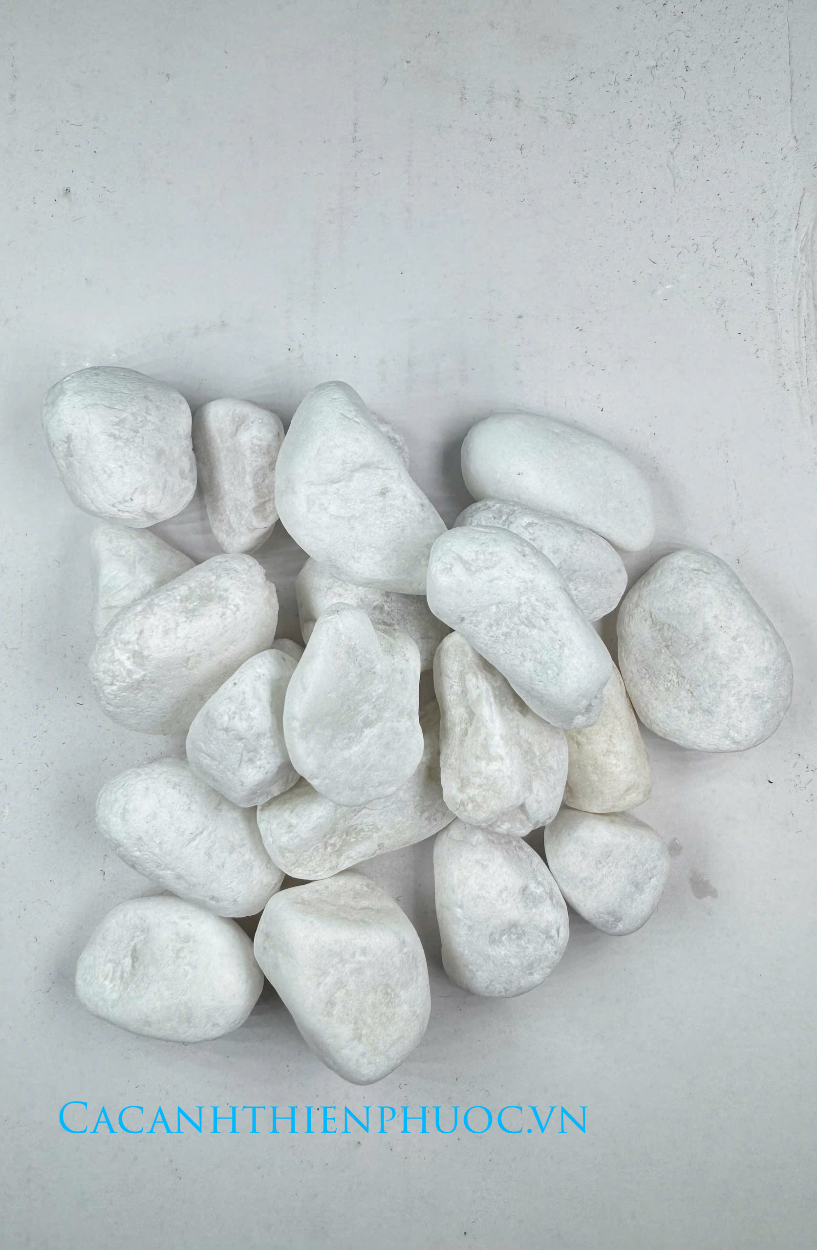 Sỏi Trắng Trang Trí Hồ Thủy Sinh- Cá Cảnh Thiên Phước