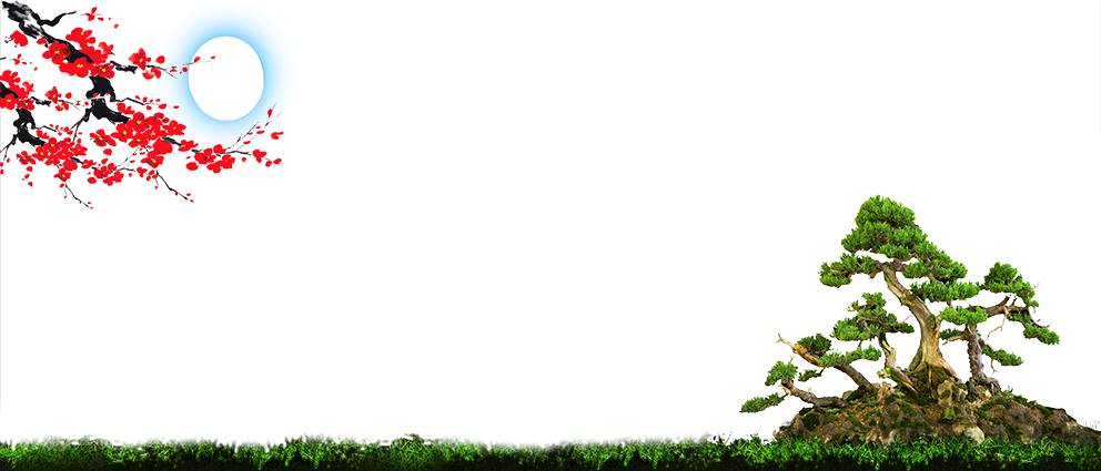 Nền Trắng-Tranh 3D  Dán Hồ Cá - Decal Dán Hồ- Cá Cảnh Thiên Phước