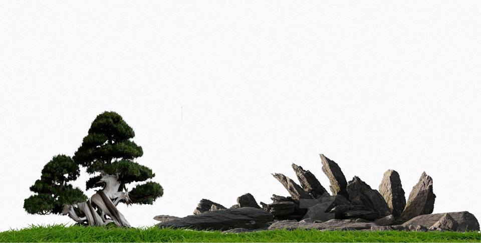 Nền Trắng-Tranh 3D  Dán Hồ Cá - Decal Dán Hồ- Cá Cảnh Thiên Phước