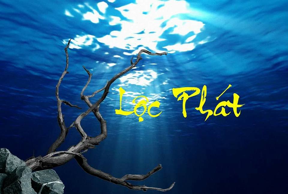 Tranh Chữ Thư Pháp-Tranh 3D  Dán Hồ Cá - Decal Dán Hồ- Cá Cảnh Thiên Phước