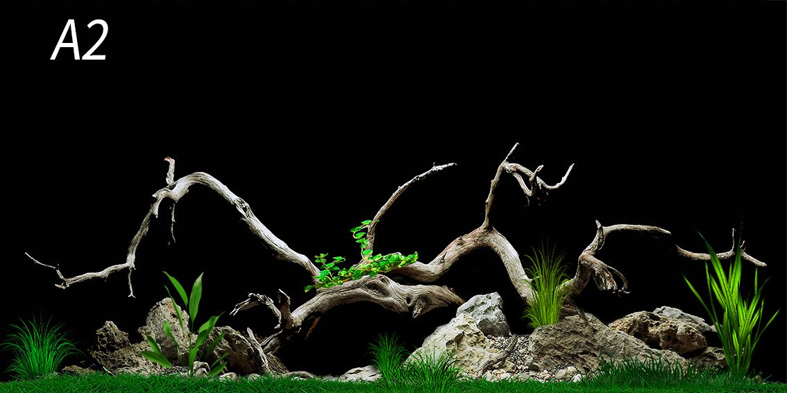 Nền Đen -Tranh 3D  Dán Hồ Cá - Decal Dán Hồ- Cá Cảnh Thiên Phước