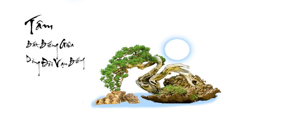 Nền Trắng-Tranh 3D  Dán Hồ Cá - Decal Dán Hồ- Cá Cảnh Thiên Phước