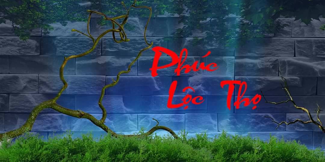 Tranh Chữ Thư Pháp-Tranh 3D  Dán Hồ Cá - Decal Dán Hồ- Cá Cảnh Thiên Phước