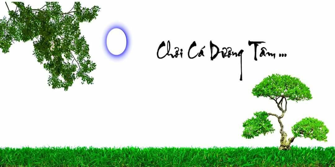 Nền Trắng-Tranh 3D  Dán Hồ Cá - Decal Dán Hồ- Cá Cảnh Thiên Phước
