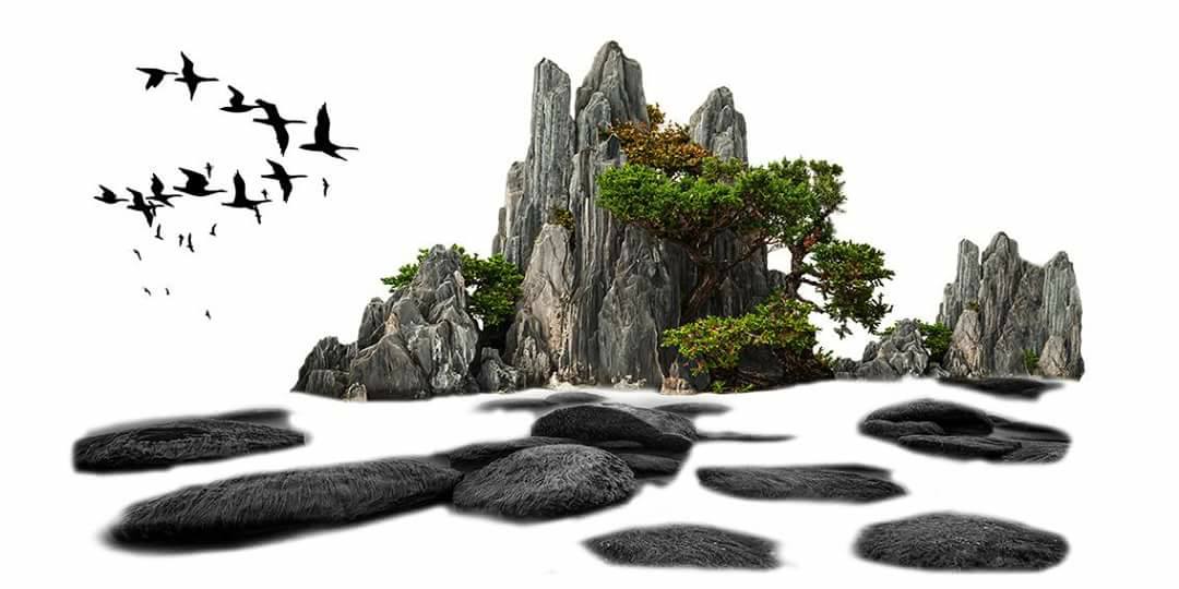 Nền Trắng-Tranh 3D  Dán Hồ Cá - Decal Dán Hồ- Cá Cảnh Thiên Phước