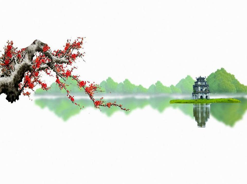 Nền Trắng-Tranh 3D  Dán Hồ Cá - Decal Dán Hồ- Cá Cảnh Thiên Phước