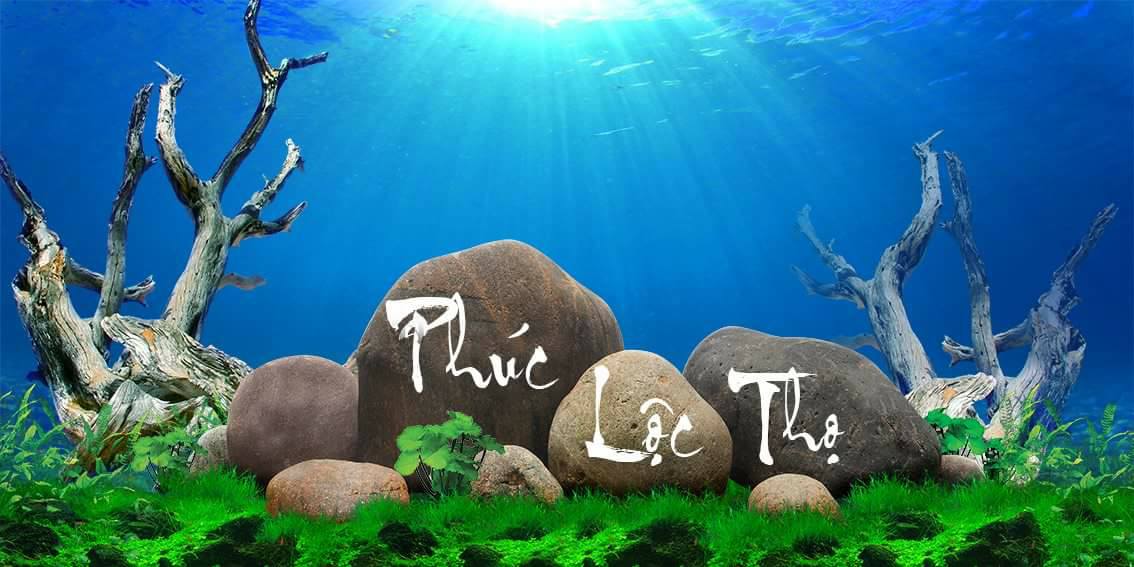 Tranh Chữ Thư Pháp-Tranh 3D  Dán Hồ Cá - Decal Dán Hồ- Cá Cảnh Thiên Phước