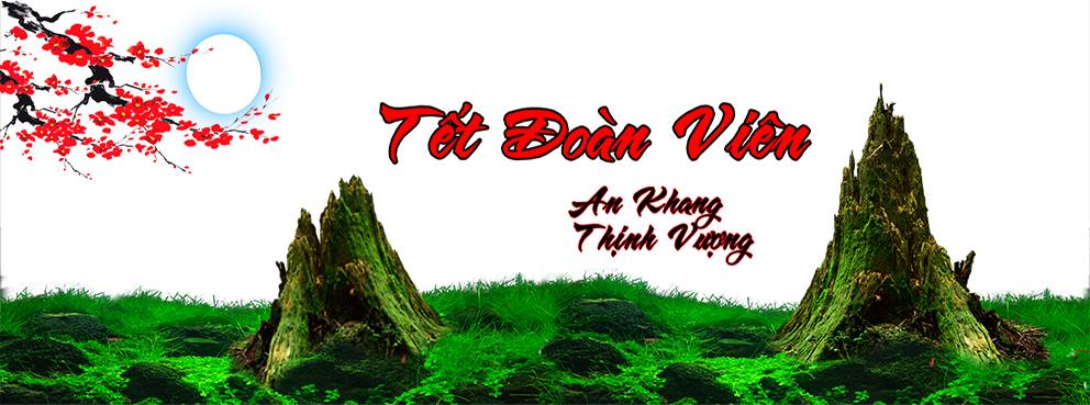 Tranh Chữ Thư Pháp-Tranh 3D  Dán Hồ Cá - Decal Dán Hồ- Cá Cảnh Thiên Phước