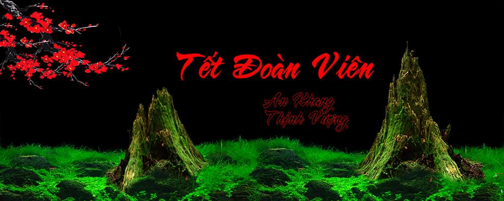 Tranh Chữ Thư Pháp-Tranh 3D  Dán Hồ Cá - Decal Dán Hồ- Cá Cảnh Thiên Phước