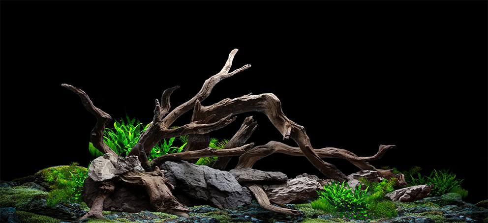 Nền Đen -Tranh 3D  Dán Hồ Cá - Decal Dán Hồ- Cá Cảnh Thiên Phước