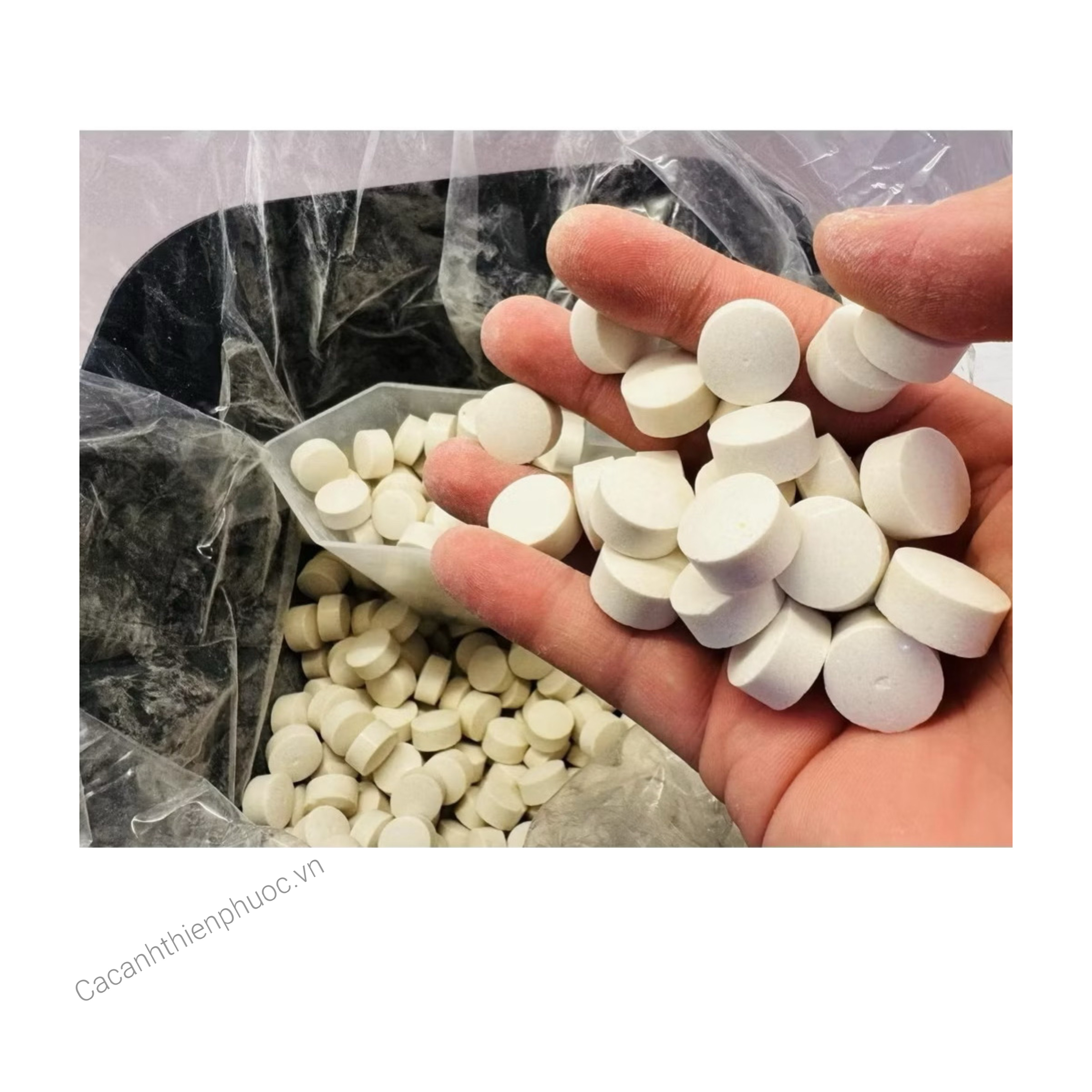 Vi Sinh Dị Dưỡng Siêu Phân Huỷ Muckrid - Phân Huỷ Phân Cá Cặn Bẩn Chất Thải Hữu Cơ Nhanh - Cá Cảnh Thiên Phước