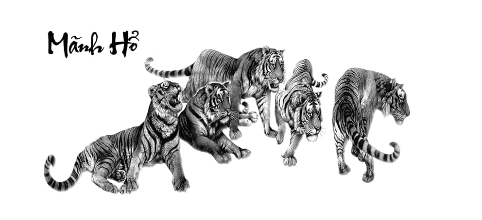 Tranh Con Hổ - Ngựa - Công-Tranh 3D  Dán Hồ Cá - Decal Dán Hồ- Cá Cảnh Thiên Phước