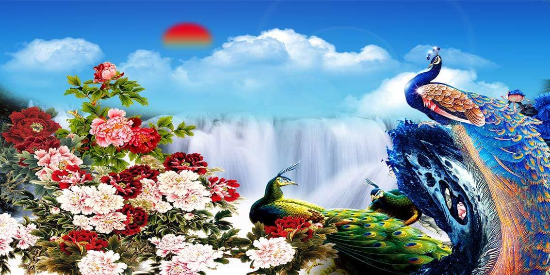 Tranh Con Hổ - Ngựa - Công-Tranh 3D  Dán Hồ Cá - Decal Dán Hồ- Cá Cảnh Thiên Phước