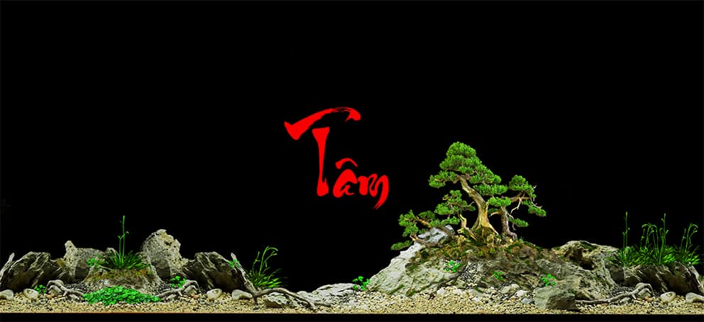 Tranh Chữ Thư Pháp-Tranh 3D  Dán Hồ Cá - Decal Dán Hồ- Cá Cảnh Thiên Phước