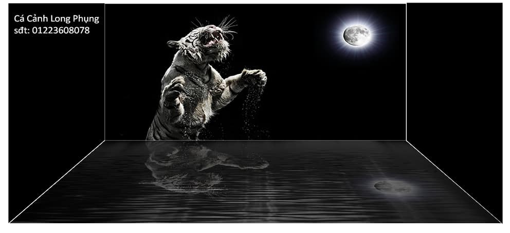 Tranh Con Hổ - Ngựa - Công-Tranh 3D  Dán Hồ Cá - Decal Dán Hồ- Cá Cảnh Thiên Phước