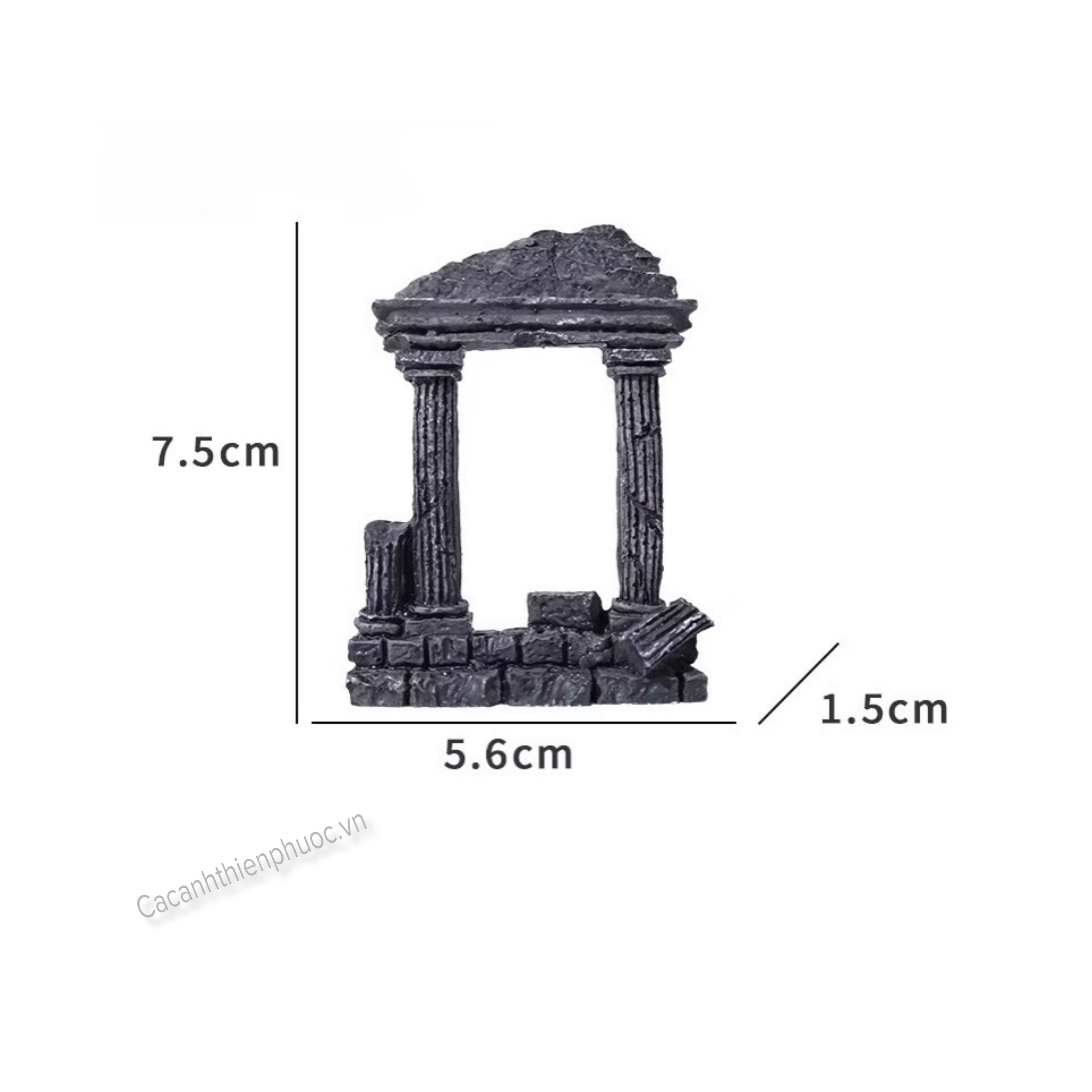 Thành Rome Trang Trí Hồ Thủy Sinh- Cá Cảnh Thiên Phước