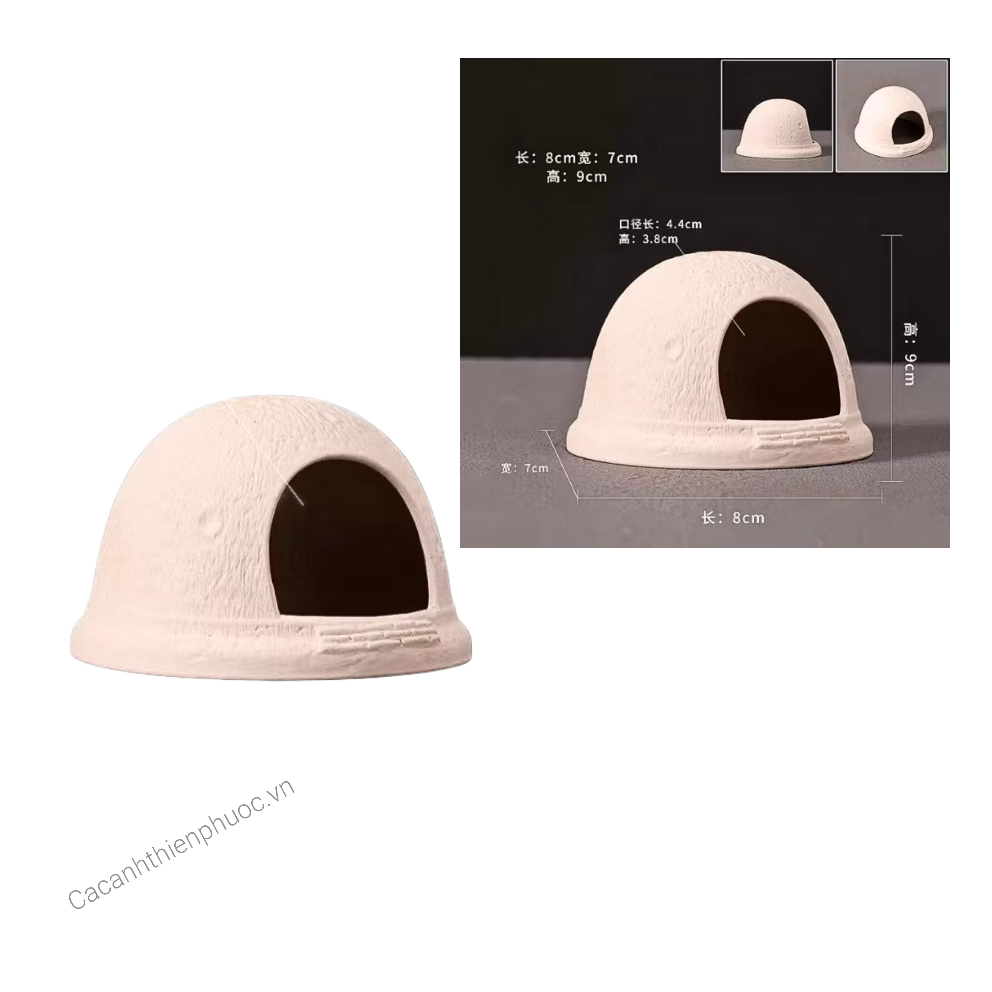 Hang Vòm Trắng Kem Trang Trí Hồ Cá Tép Thuỷ Sinh- Cá Cảnh Thiên Phước