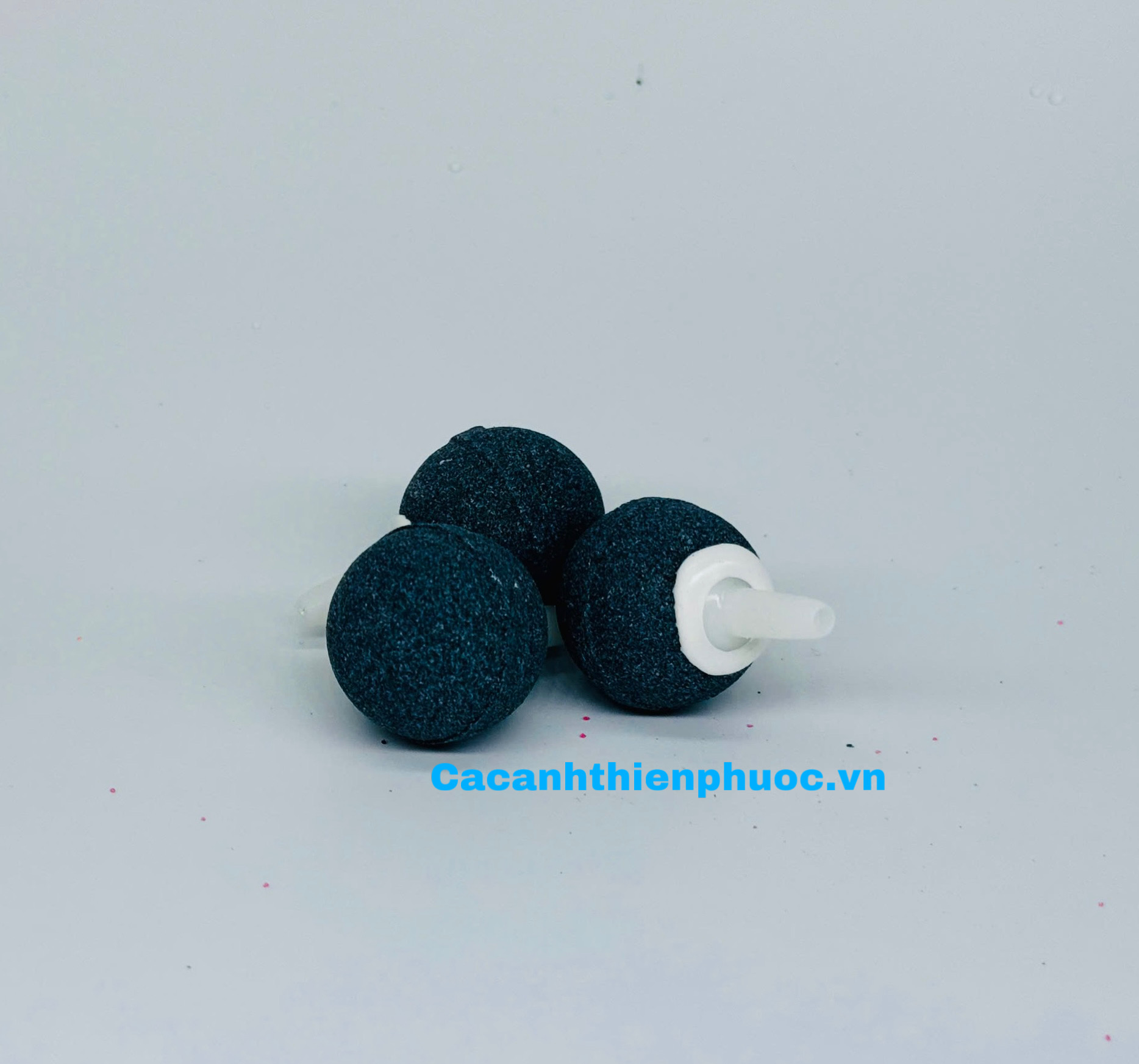 Đầu Sủi Oxy Cho Hồ Thủy Sinh- Cá Cảnh Thiên Phước
