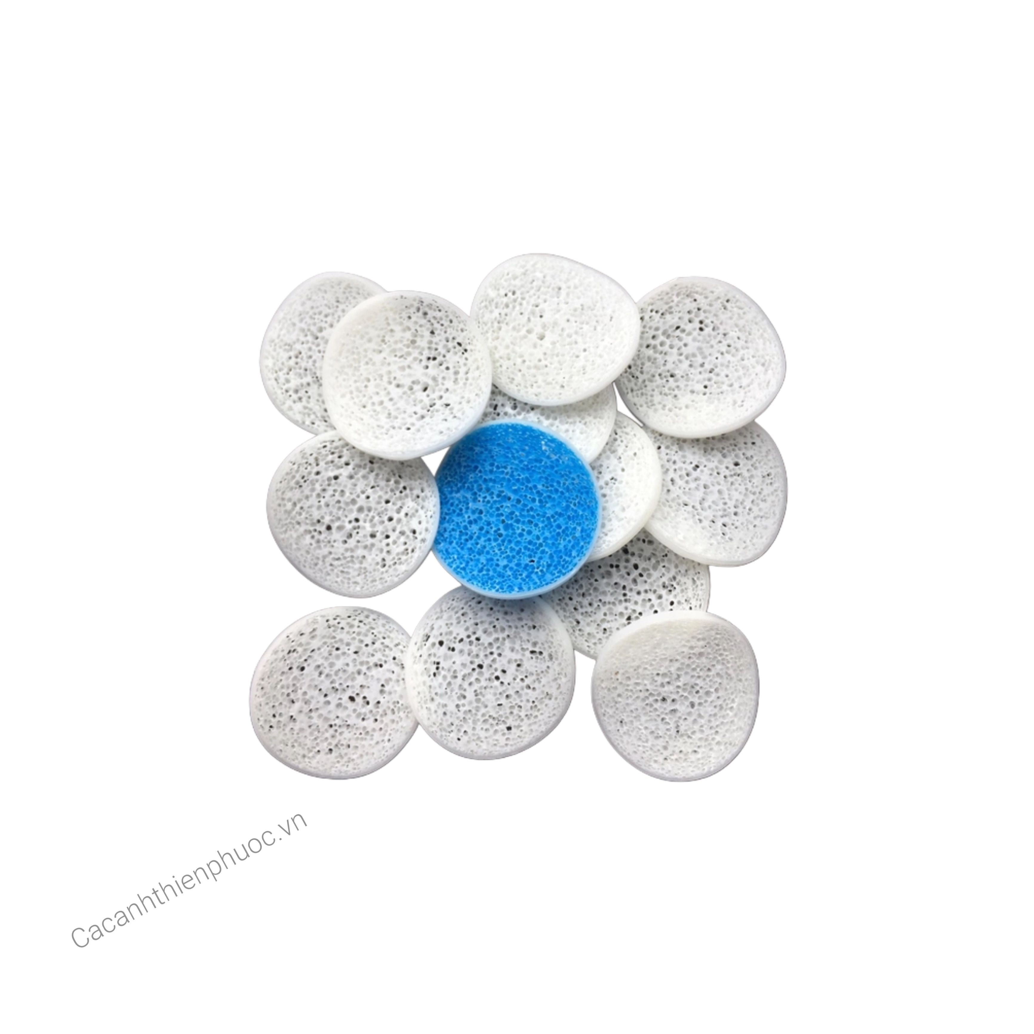 Hạt Lọc Biochip Vật Liệu Lọc Cho Hồ Cá Koi- Cá Cảnh Thiên Phước