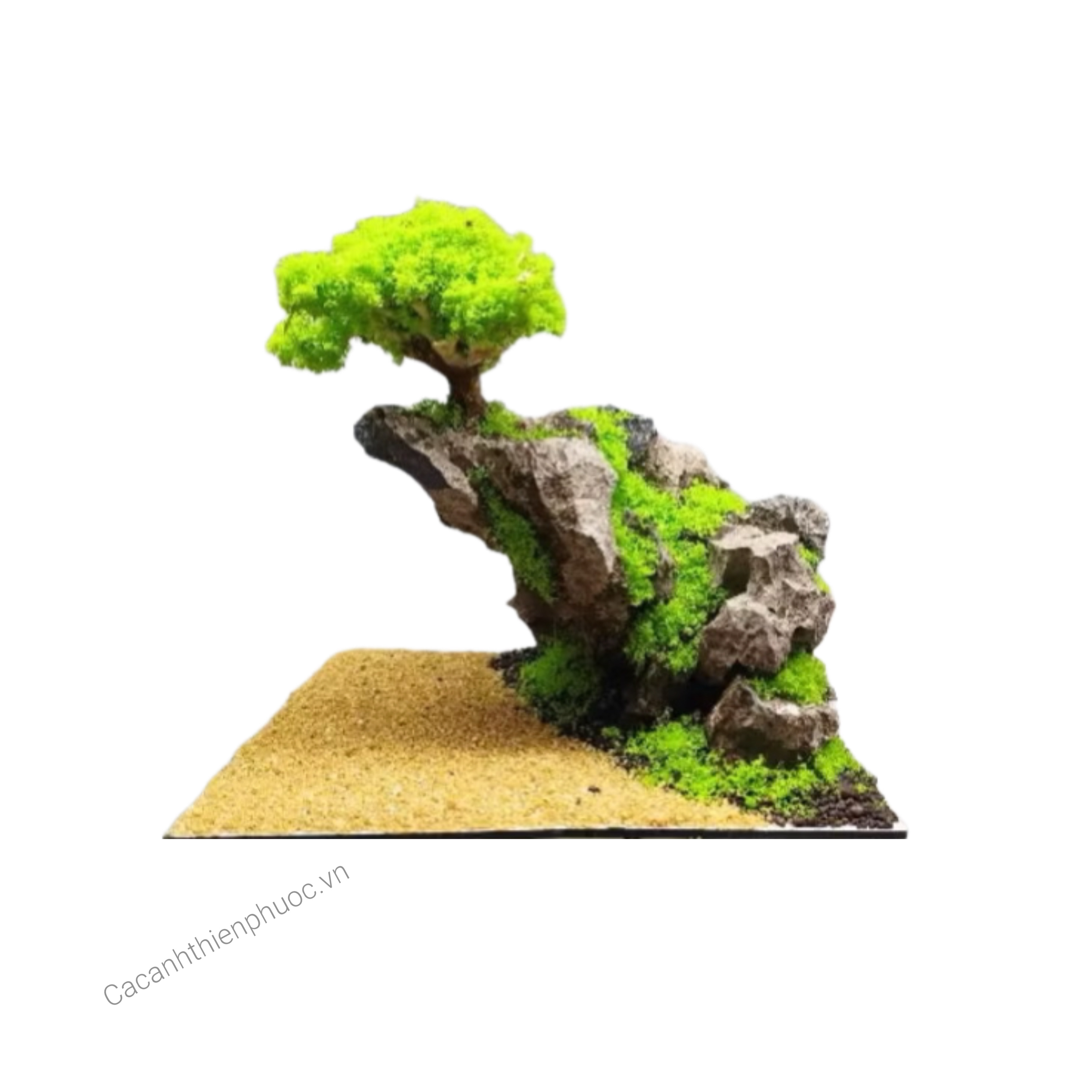 Layout Nhựa Cô Đơn Setup Hồ Thủy Sinh  - Cá Cảnh Thiên Phước
