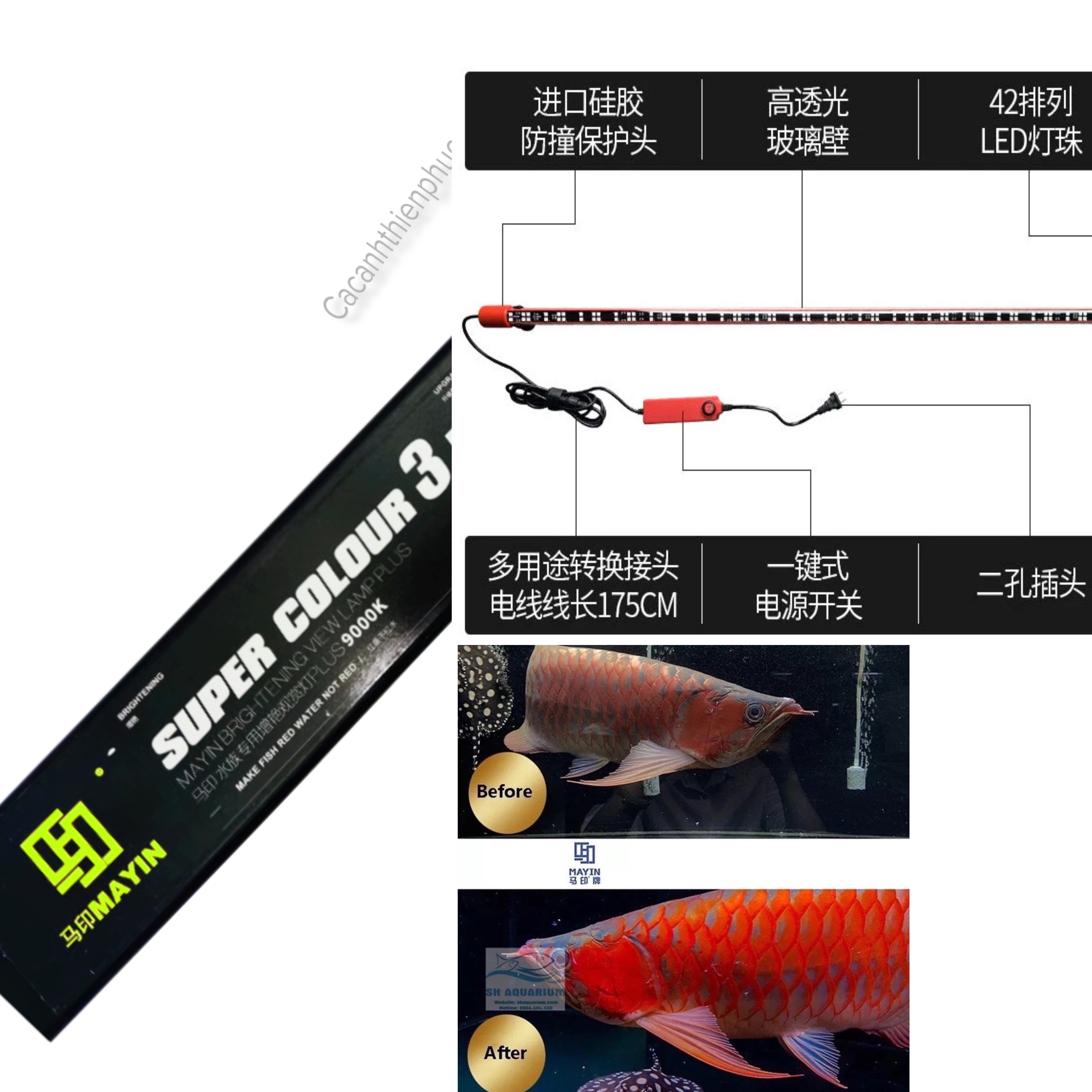 Đèn Mayin Super Color 3 9000k- Đèn Led Cao Cấp Cho Huyết Long -Cá Cảnh Thiên Phước