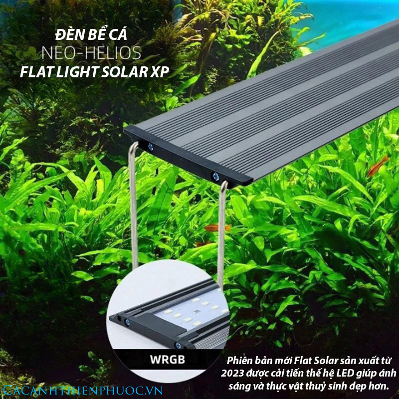 Đèn Led Neo Helios Flat Xp Series- Rgb 3 in 1 Đỏ Cá Không Đỏ Nước- Cá Cảnh Thiên Phước