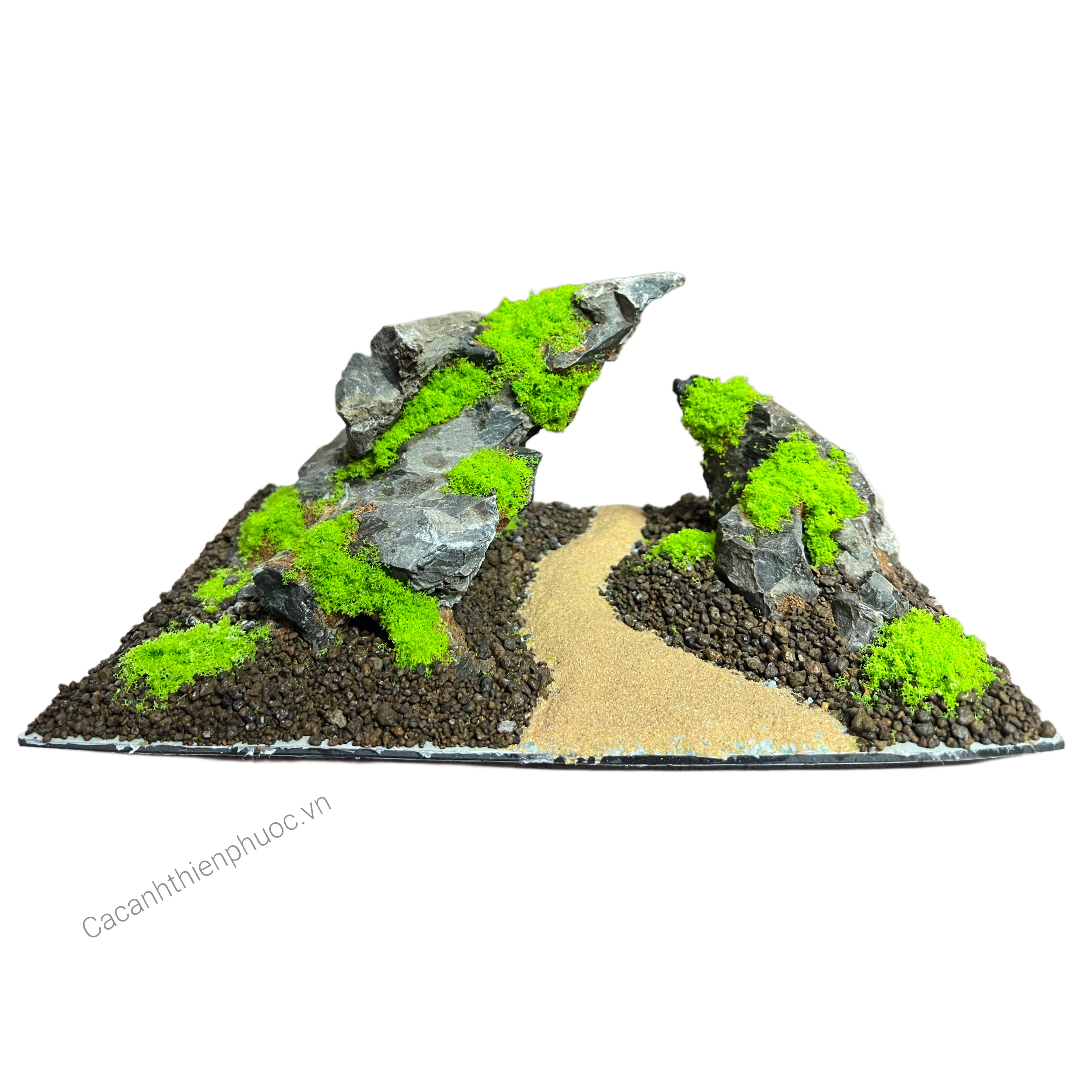 Layout Nhựa Setup Hồ Thủy Sinh- Cá Cảnh Thiên Phước