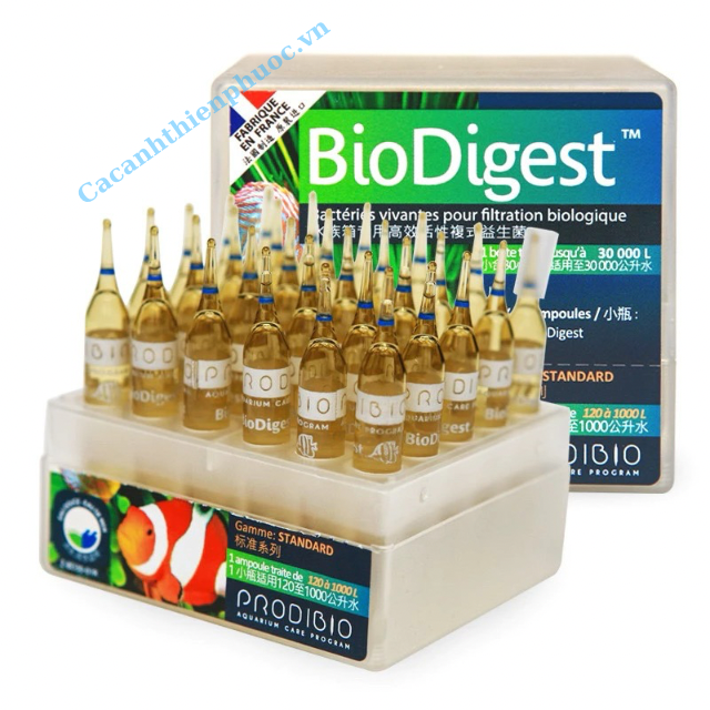 Vi Sinh Sống Biodigest Cao Cấp Cho Hồ Thủy Sinh- Cá Cảnh Thiên Phước