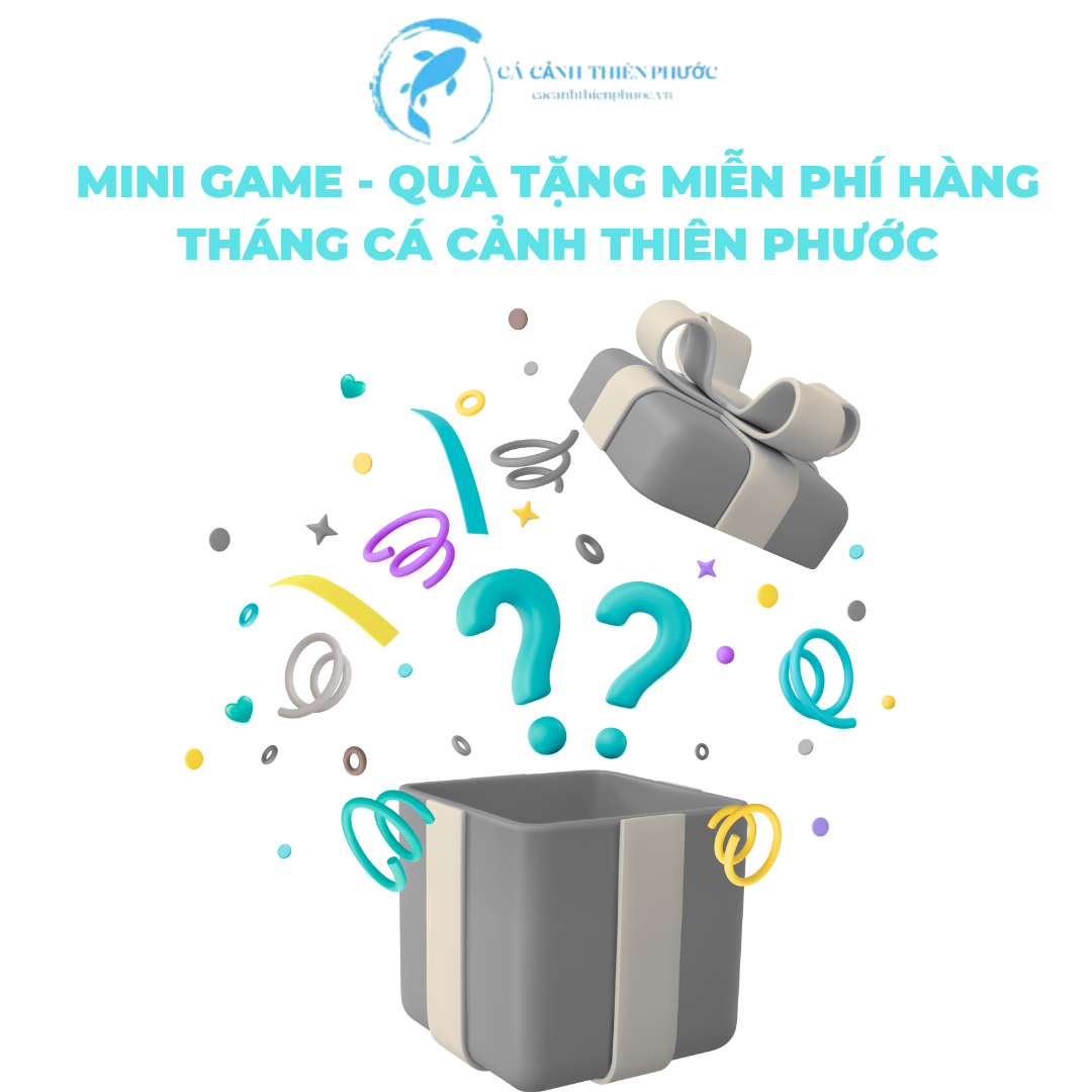 17/10/2025 Danh Sách Quà Tặng - Mini Game - Cá Cảnh Thiên Phước