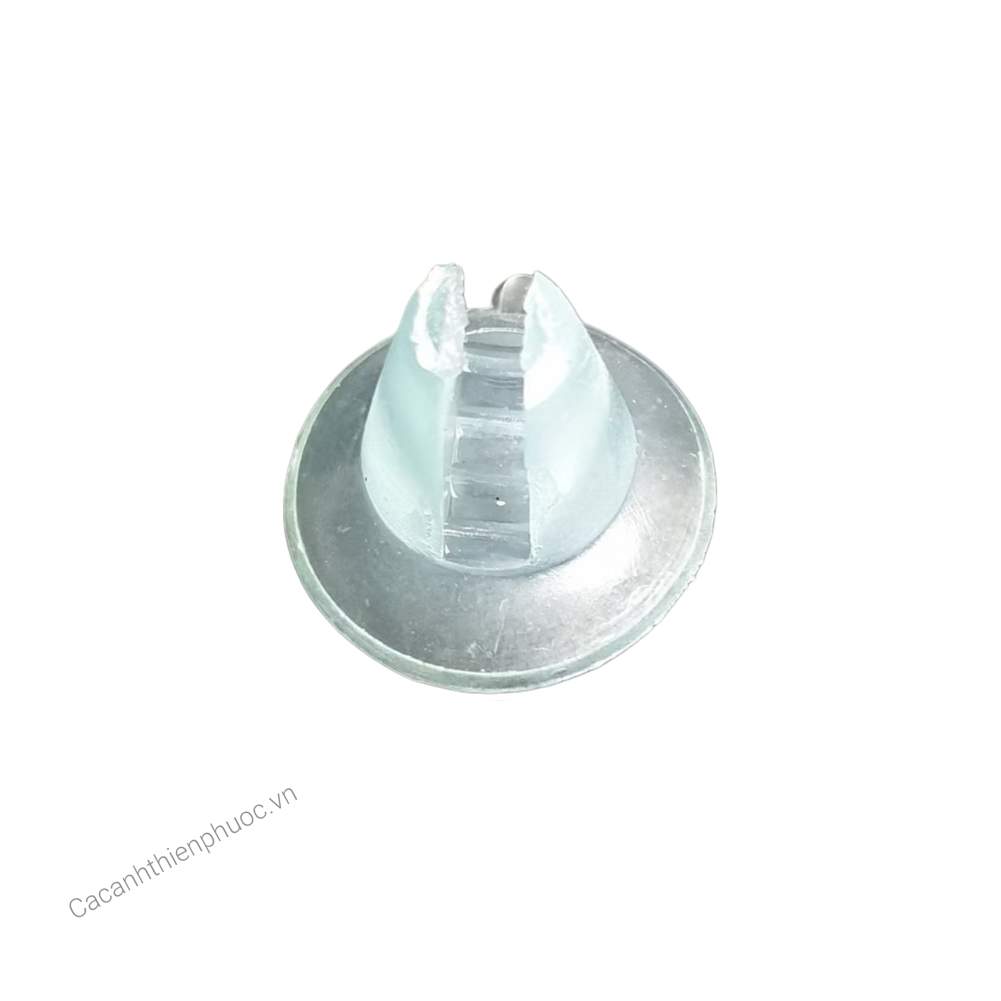 Kính Giữ Vách Ngăn Hồ Cá Bể Lọc Chắc Chắn- Cá Cảnh Thiên Phước
