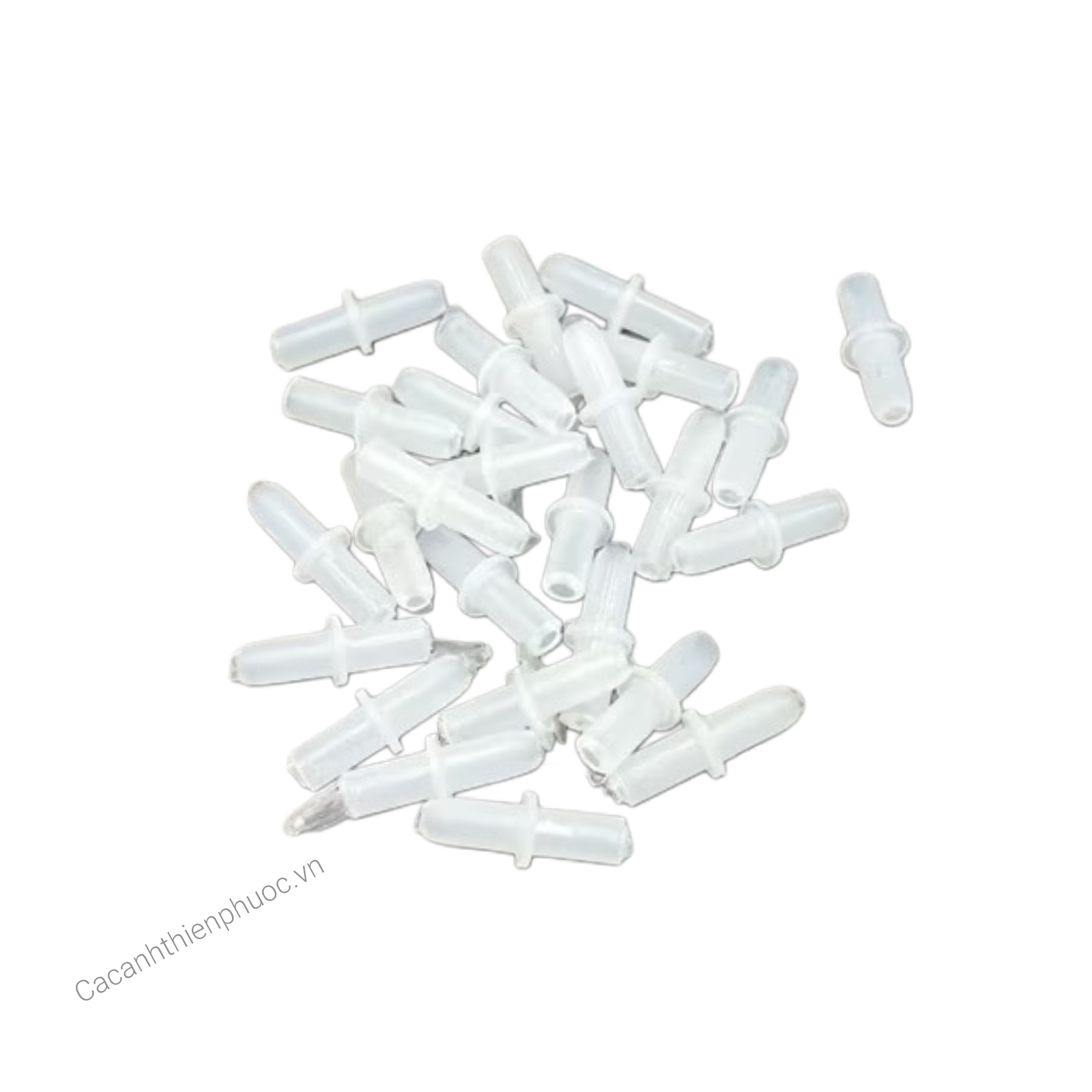 Nối Thẳng Oxy Cho Hồ Cá - Cá Cảnh Thiên Phước