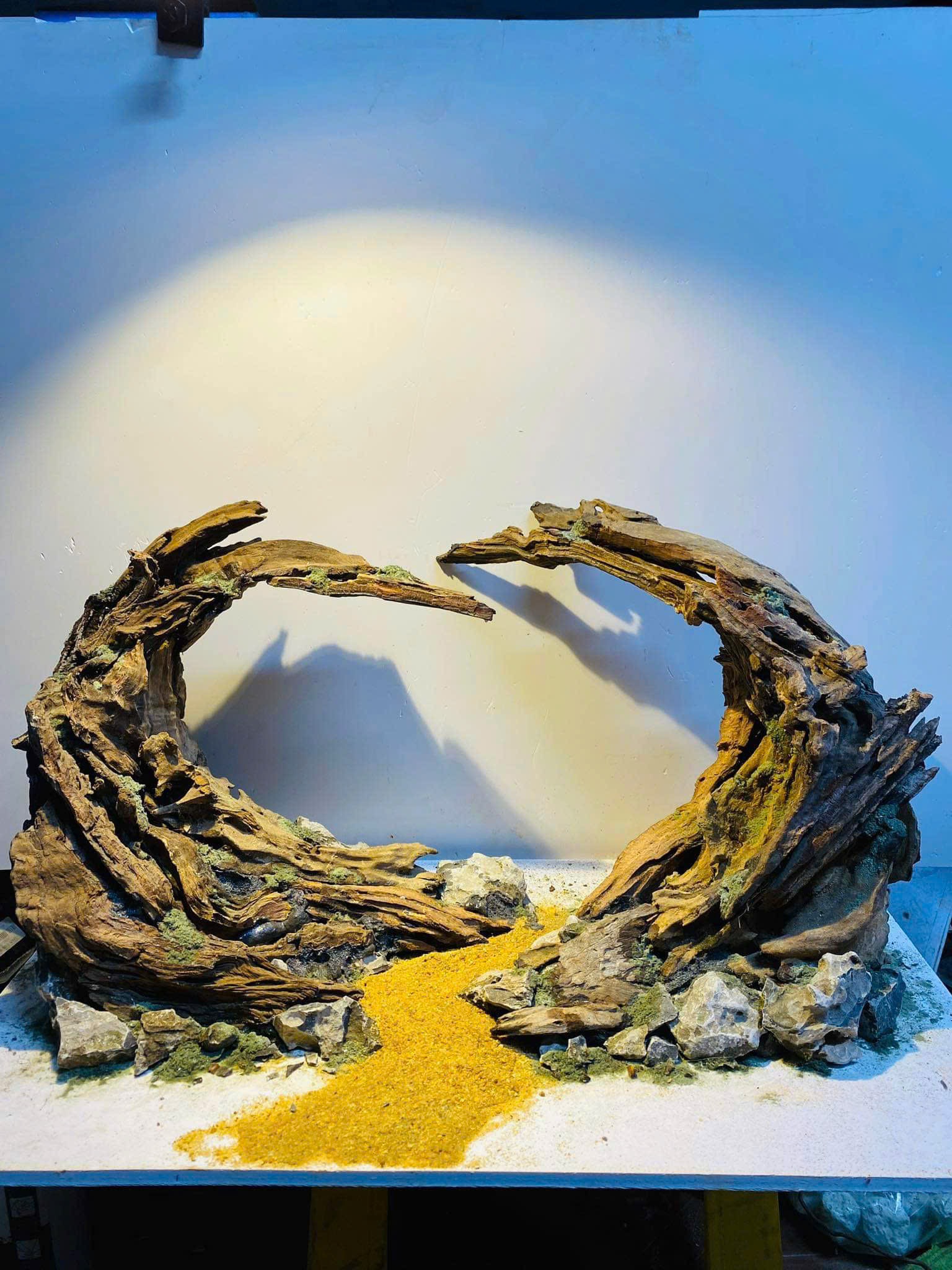 Layout Nature Setup Hồ Thủy Sinh - Cá Cảnh Thiên Phước