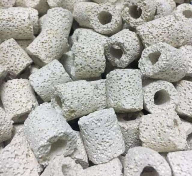 Sứ Viên Trắng- Vật Liệu Lọc -Cá Cảnh Thiên Phước