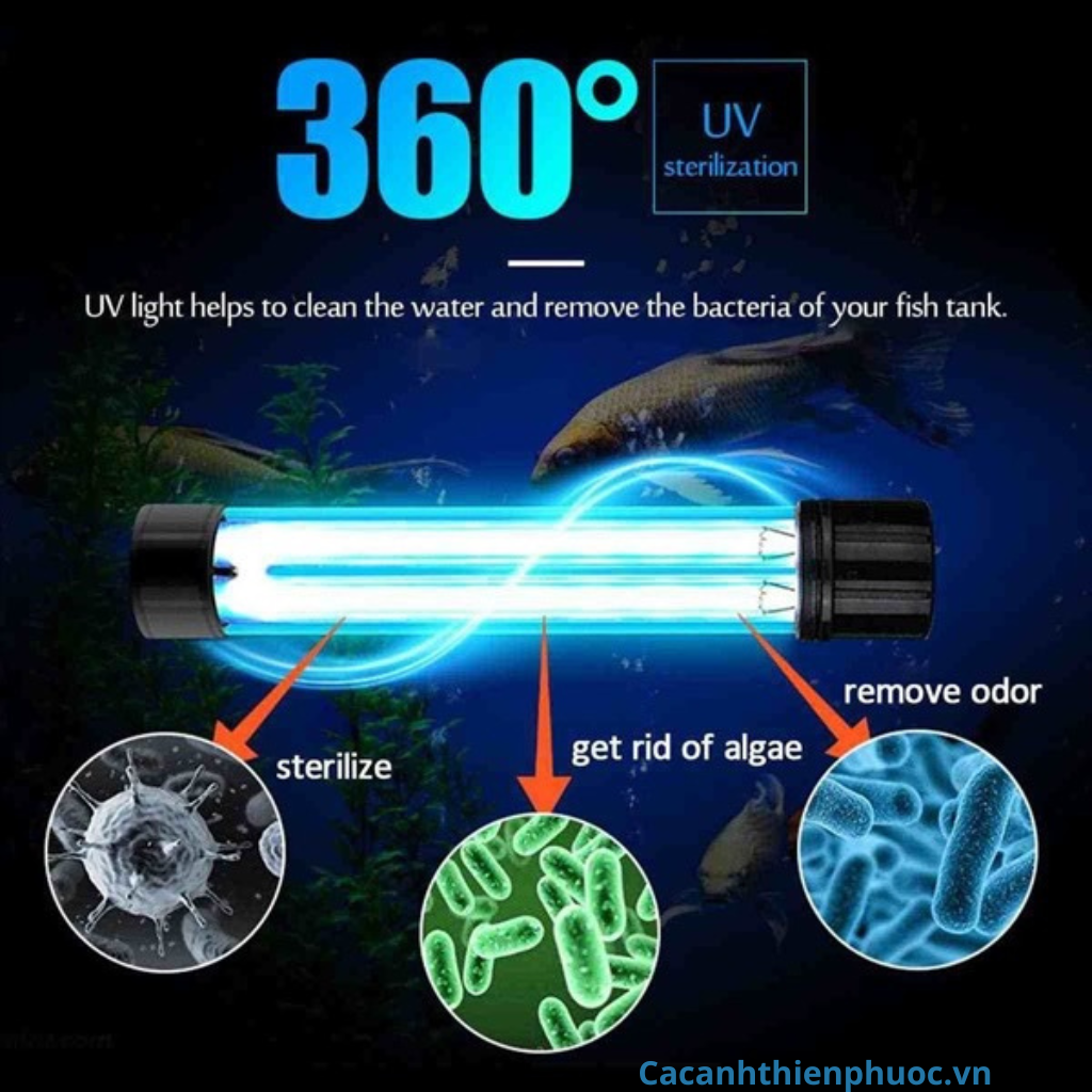 Đèn Uv Sterilization King 30w 40w 60w 100w Đèn Uv Diệt Rêu, Diệt Khuẩn Hồ Cá - Cá Cảnh Thiên Phước