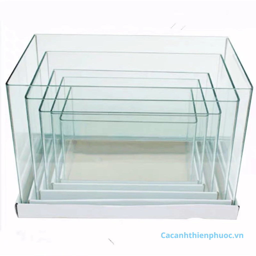 Hồ Kính Đúc Mini Thủy Sinh- Hồ Kính-Cá Cảnh Thiên Phước