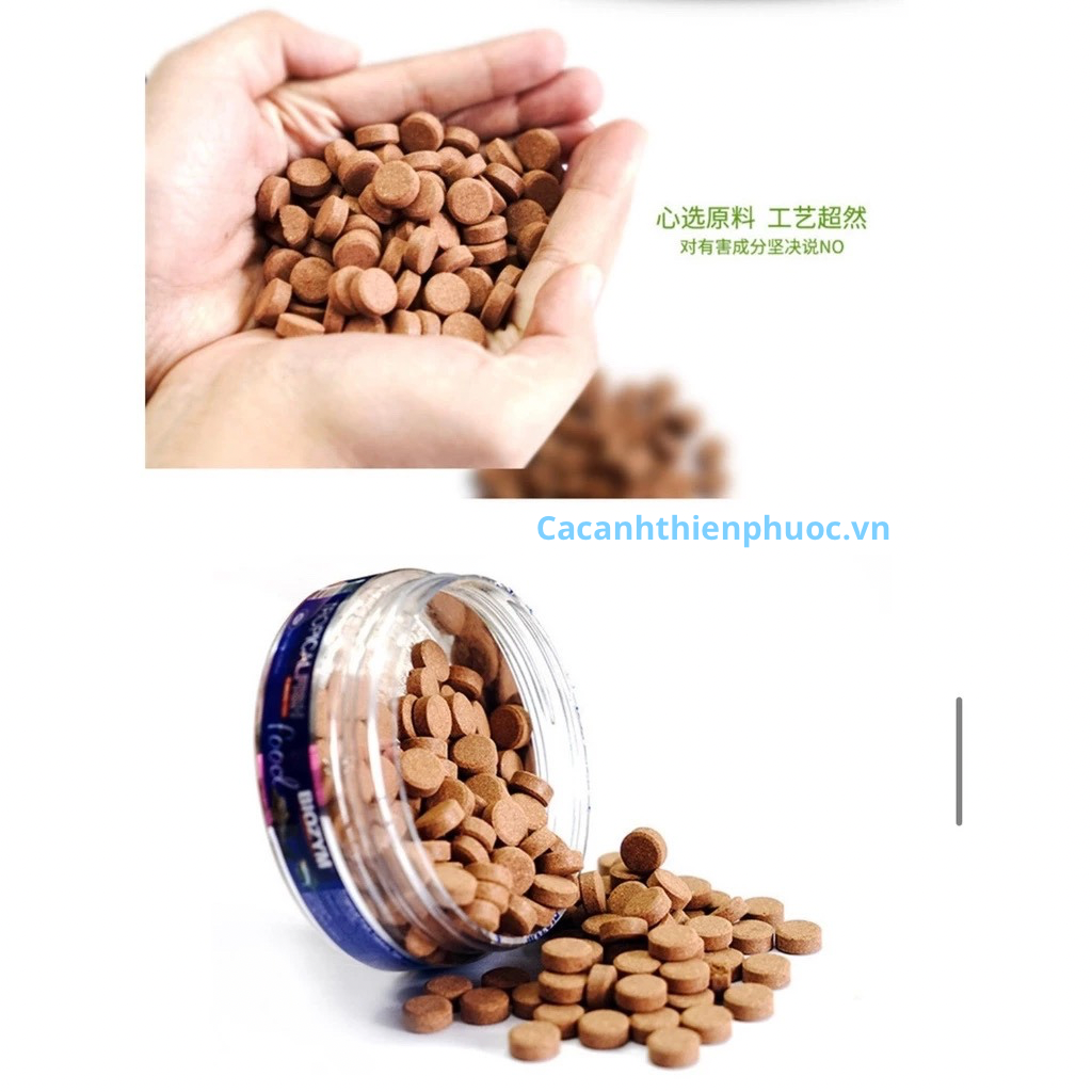Biozym Thức Ăn Dán Cho Cá Cảnh- Thức Ăn Cá- Cá Cảnh Thiên Phước