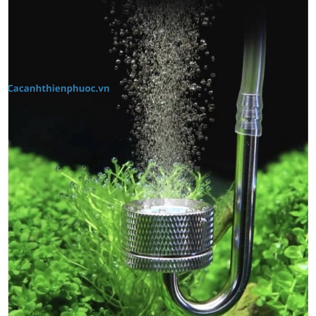 Cốc Sủi Co2 Mufan Thủy Sinh- Cá Cảnh Thiên Phước