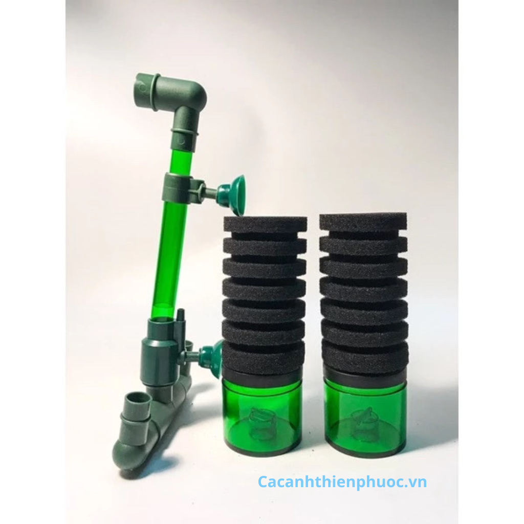 Lọc Vi Sinh Bio Sponge Filter Có Chổ Chứa Vật Liệu Lọc Dành Cho Hồ Thủy Sinh- Cá Cảnh Thiên Phước